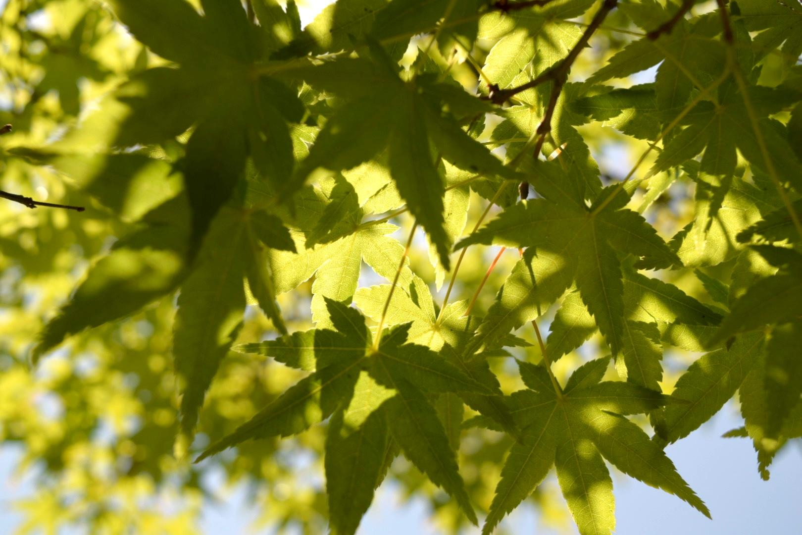 プロフィール写真